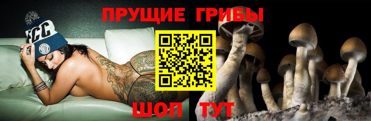Псилоцибиновые грибы мицелий Омск
